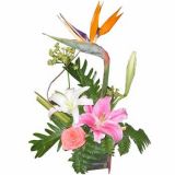 Ȫʻٵ